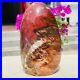 2_67LB_Large_Natural_Red_Petrified_Wood_Fossil_Crystal_Landscape_Stone_Specimen_01_pg