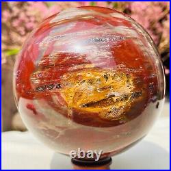 2.67lb Large Natural Petrified Wood Crystal Fossil Sphere Specimen Healing