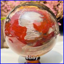 2.67lb Large Natural Petrified Wood Crystal Fossil Sphere Specimen Healing