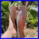 2_6LB_8_Natural_Petrified_Wood_Angel_Quartz_Crystal_Carving_Figurine_Decor_Gift_01_lwe