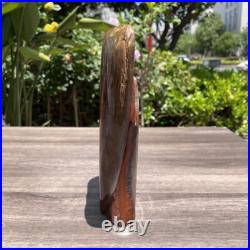 2.6LB 8 Natural Petrified Wood Angel Quartz Crystal Carving Figurine Decor Gift 2.6LB 8 Natural Petrified Wood Angel Quartz Crystal Carving Figurine Decor Gift