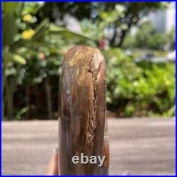 2.6LB 8 Natural Petrified Wood Angel Quartz Crystal Carving Figurine Decor Gift 2.6LB 8 Natural Petrified Wood Angel Quartz Crystal Carving Figurine Decor Gift
