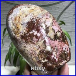 2.6LB Beautiful Polished Petrified Wood Fossil Crystal Healing Stone Madagascar