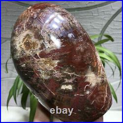 2.6LB Beautiful Polished Petrified Wood Fossil Crystal Healing Stone Madagascar