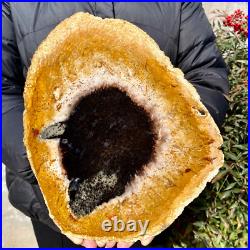 2.6LB Large Natural Petrified Wood Crystal Fossil Slice Shape Specimen Healing 2.6LB Large Natural Petrified Wood Crystal Fossil Slice Shape Specimen Healing