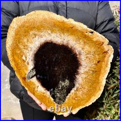 2.6LB Large Natural Petrified Wood Crystal Fossil Slice Shape Specimen Healing 2.6LB Large Natural Petrified Wood Crystal Fossil Slice Shape Specimen Healing