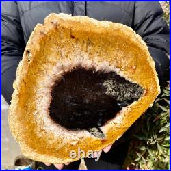 2.6LB Large Natural Petrified Wood Crystal Fossil Slice Shape Specimen Healing 2.6LB Large Natural Petrified Wood Crystal Fossil Slice Shape Specimen Healing