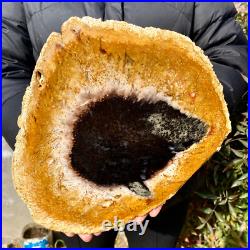2.6LB Large Natural Petrified Wood Crystal Fossil Slice Shape Specimen Healing 2.6LB Large Natural Petrified Wood Crystal Fossil Slice Shape Specimen Healing