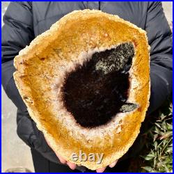 2.6LB Large Natural Petrified Wood Crystal Fossil Slice Shape Specimen Healing 2.6LB Large Natural Petrified Wood Crystal Fossil Slice Shape Specimen Healing