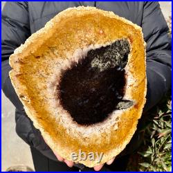 2.6LB Large Natural Petrified Wood Crystal Fossil Slice Shape Specimen Healing 2.6LB Large Natural Petrified Wood Crystal Fossil Slice Shape Specimen Healing