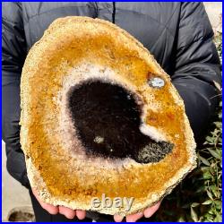 2.6LB Large Natural Petrified Wood Crystal Fossil Slice Shape Specimen Healing 2.6LB Large Natural Petrified Wood Crystal Fossil Slice Shape Specimen Healing