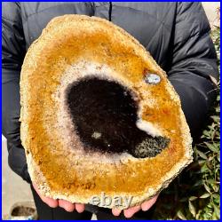2.6LB Large Natural Petrified Wood Crystal Fossil Slice Shape Specimen Healing 2.6LB Large Natural Petrified Wood Crystal Fossil Slice Shape Specimen Healing