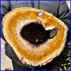 2.6LB Large Natural Petrified Wood Crystal Fossil Slice Shape Specimen Healing 2.6LB Large Natural Petrified Wood Crystal Fossil Slice Shape Specimen Healing