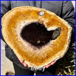2.6LB Large Natural Petrified Wood Crystal Fossil Slice Shape Specimen Healing 2.6LB Large Natural Petrified Wood Crystal Fossil Slice Shape Specimen Healing