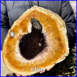 2.6LB Large Natural Petrified Wood Crystal Fossil Slice Shape Specimen Healing 2.6LB Large Natural Petrified Wood Crystal Fossil Slice Shape Specimen Healing