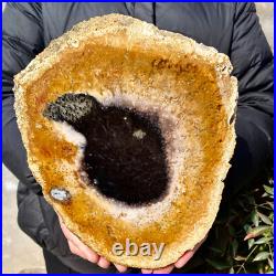 2.6LB Large Natural Petrified Wood Crystal Fossil Slice Shape Specimen Healing 2.6LB Large Natural Petrified Wood Crystal Fossil Slice Shape Specimen Healing