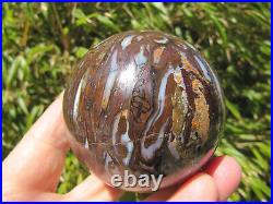 2.6 Petrified Paleo Osmunda Sphere Rare Fossil Ball Queensland Australia