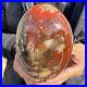 2_6lb_Rare_Natural_petrified_wood_rough_Wood_fossil_mineral_specimen_healing_01_jl