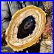 2_7LB_Large_natural_Petrified_wood_crystal_fossil_piece_sample_restoration_01_xq