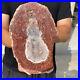 2_8lb_Rare_Natural_petrified_wood_rough_Wood_fossil_mineral_specimen_healing_01_ve