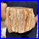 2_8lb_Rare_Natural_petrified_wood_rough_Wood_fossil_mineral_specimen_healing_01_wdvs