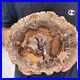 2_9lb_Rare_Natural_petrified_wood_rough_Wood_fossil_mineral_specimen_healing_01_kzu