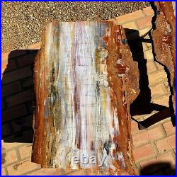 2 Beautiful Matching Fossil Petrified Wood Rainbow Plank Cut End Tables Arizona