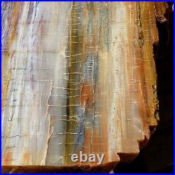 2 Beautiful Matching Fossil Petrified Wood Rainbow Plank Cut End Tables Arizona