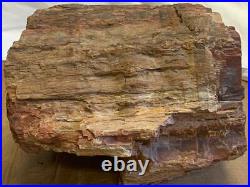 2 Petrified Wood Logs Agatized Lot 300+ Pounds Total LOCAL PICKUP ONLY