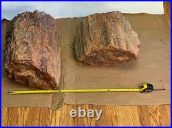 2 Petrified Wood Logs Agatized Lot 300+ Pounds Total LOCAL PICKUP ONLY