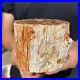 2lb_Rare_Natural_petrified_wood_rough_Wood_fossil_mineral_specimen_healing_01_nhn