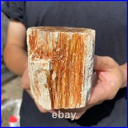 2lb Rare Natural petrified wood rough Wood fossil mineral specimen healing