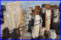 300 Pound Polished Petrified Wood Stump Large Dealer All Sizes Great Deals