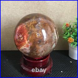 3080g NATURAL PRETTY Petrified Wood Crystal ball Healing md1300