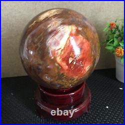 3080g NATURAL PRETTY Petrified Wood Crystal ball Healing md1300