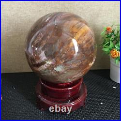 3080g NATURAL PRETTY Petrified Wood Crystal ball Healing md1300