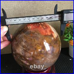 3080g NATURAL PRETTY Petrified Wood Crystal ball Healing md1300