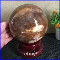 3080g NATURAL PRETTY Petrified Wood Crystal ball Healing md1300 3080g NATURAL PRETTY Petrified Wood Crystal ball Healing md1300