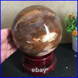 3080g NATURAL PRETTY Petrified Wood Crystal ball Healing md1300