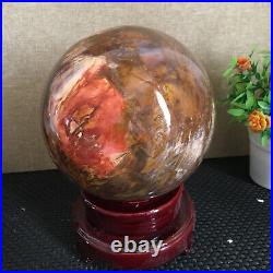 3080g NATURAL PRETTY Petrified Wood Crystal ball Healing md1300