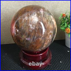 3080g NATURAL PRETTY Petrified Wood Crystal ball Healing md1300