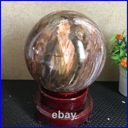 3080g NATURAL PRETTY Petrified Wood Crystal ball Healing md1300