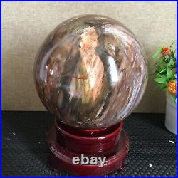 3080g NATURAL PRETTY Petrified Wood Crystal ball Healing md1300 3080g NATURAL PRETTY Petrified Wood Crystal ball Healing md1300