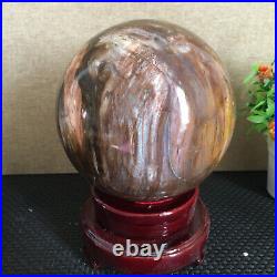 3080g NATURAL PRETTY Petrified Wood Crystal ball Healing md1300