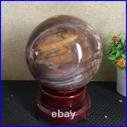 3080g NATURAL PRETTY Petrified Wood Crystal ball Healing md1300