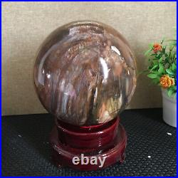 3080g NATURAL PRETTY Petrified Wood Crystal ball Healing md1300