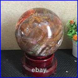 3080g NATURAL PRETTY Petrified Wood Crystal ball Healing md1300