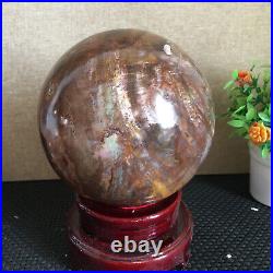 3080g NATURAL PRETTY Petrified Wood Crystal ball Healing md1300