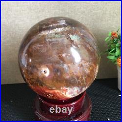 3080g NATURAL PRETTY Petrified Wood Crystal ball Healing md1300