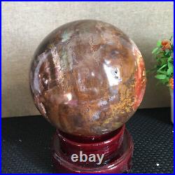 3080g NATURAL PRETTY Petrified Wood Crystal ball Healing md1300